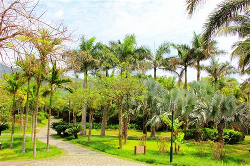 好呀手工巧克力