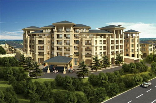 鱼头大大鱼头泡饭