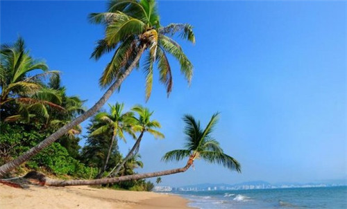 加盟店藤椒鸡怎么加盟