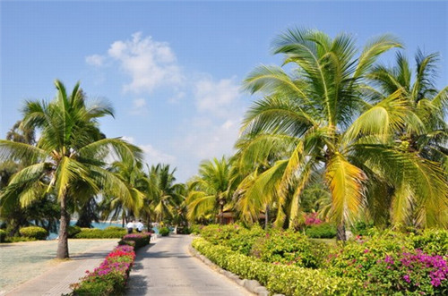 奔跑吧麻辣烫加盟费用贵不贵，加盟奔跑吧麻辣烫开店城市应该如何选择