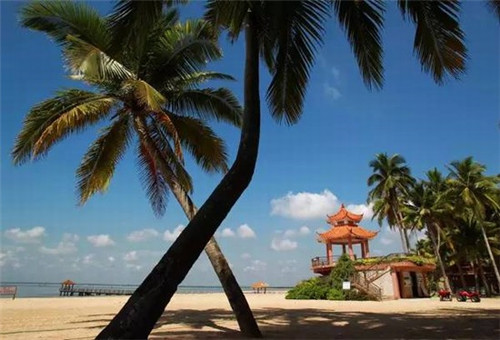 歌词里有爱的漩涡是什么歌（爱的漩涡谁唱的）