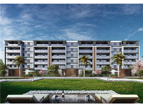 繁花过后是什么（繁华过后是什么）