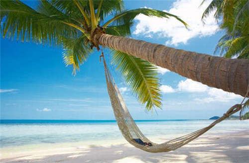 吃炒木耳鸡蛋会胖吗（吃木耳炒鸡蛋身亡）